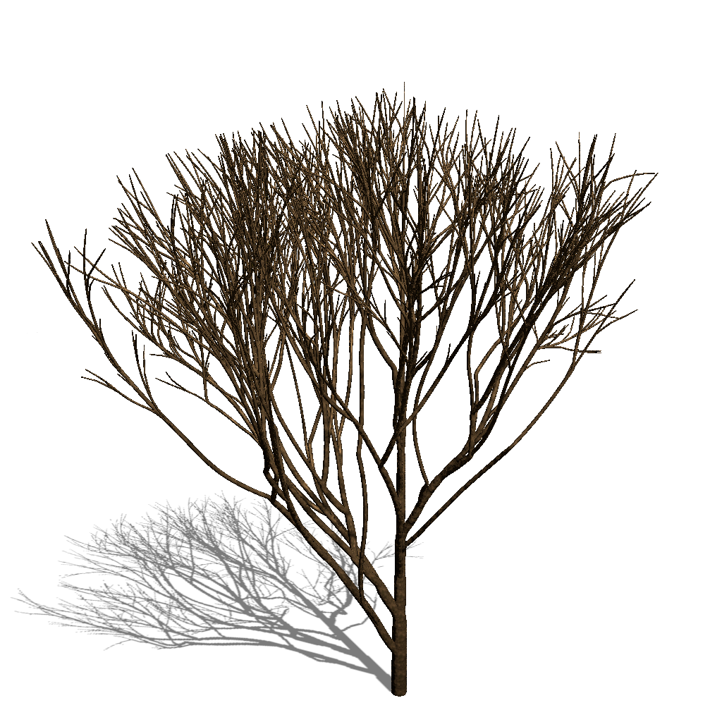 Tree with shedding