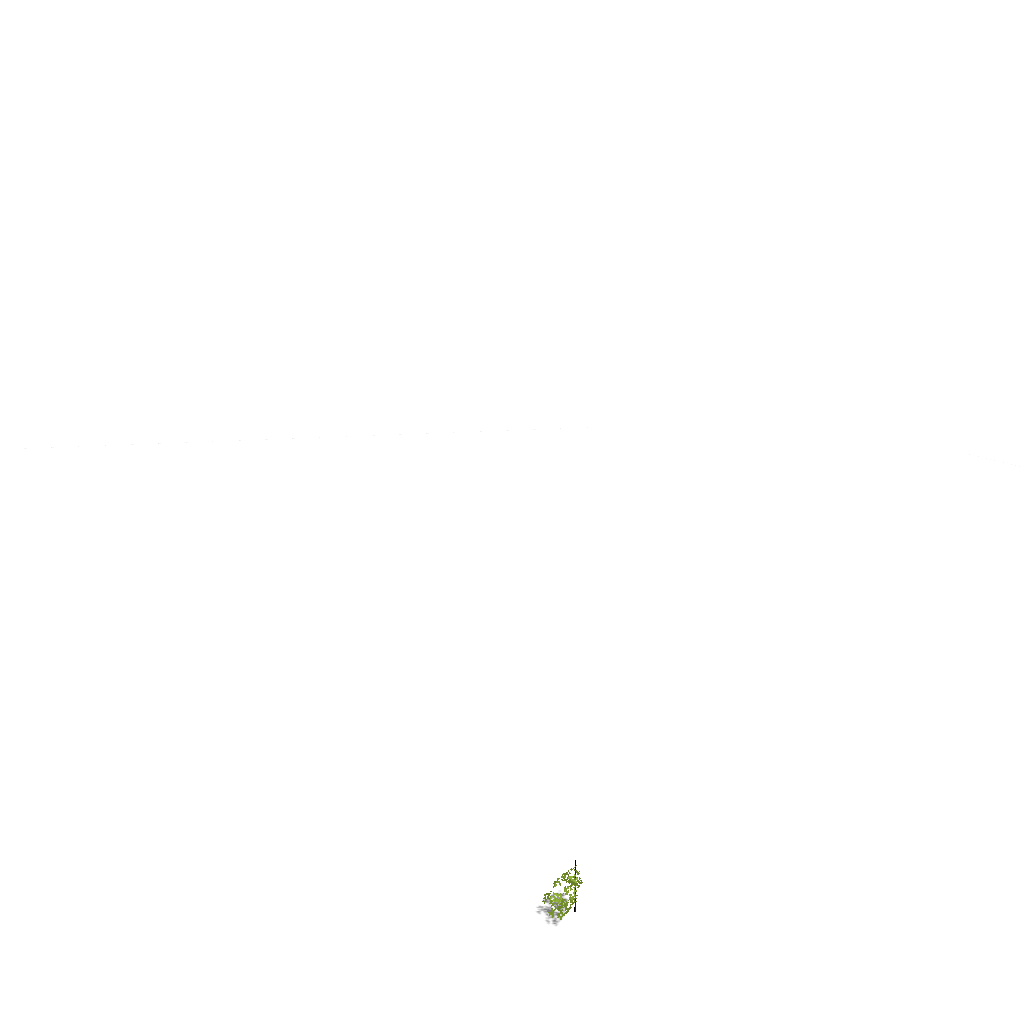 GIF of a tree growing