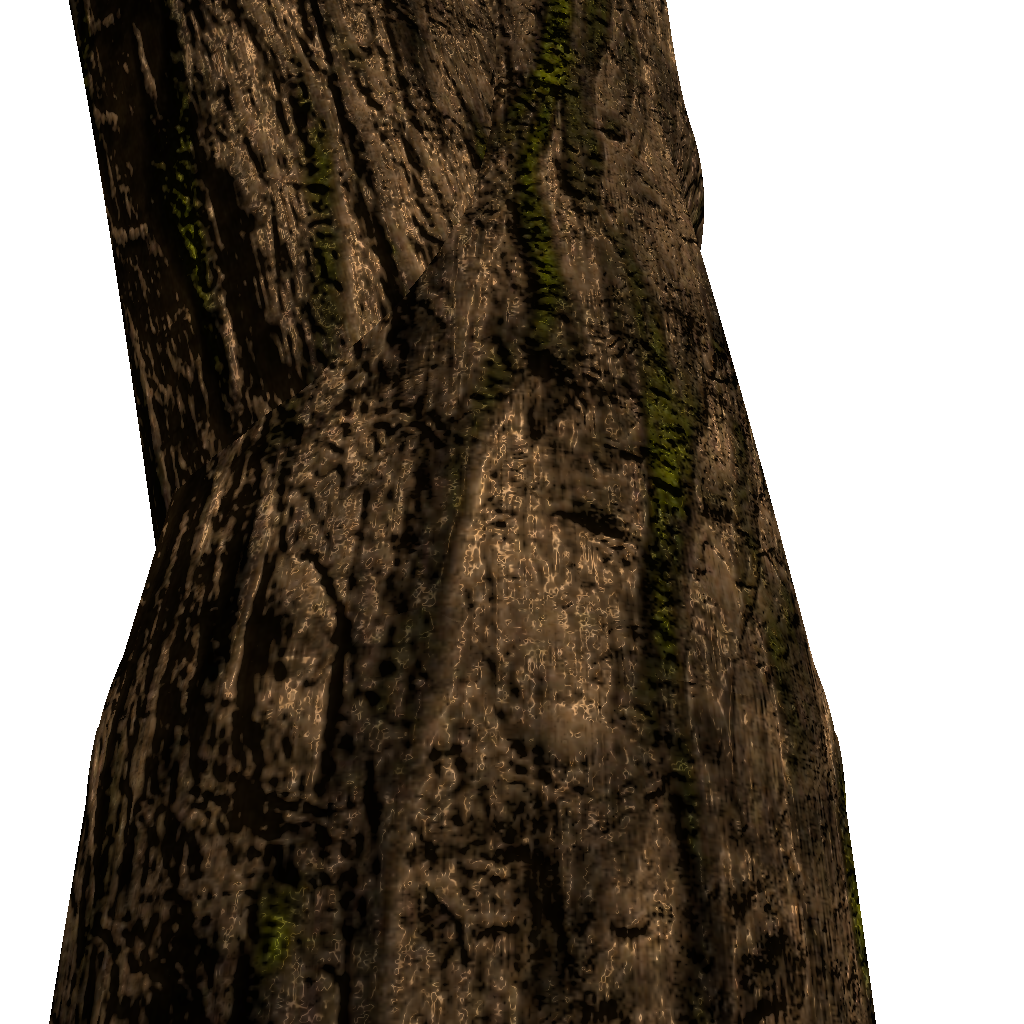 Close-up image of branches